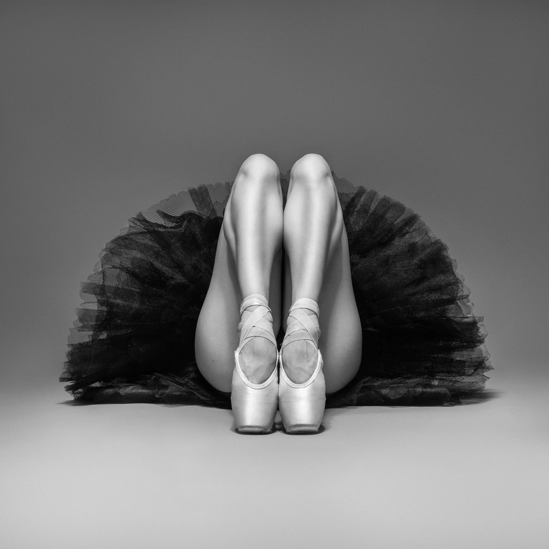 Estudio · 37